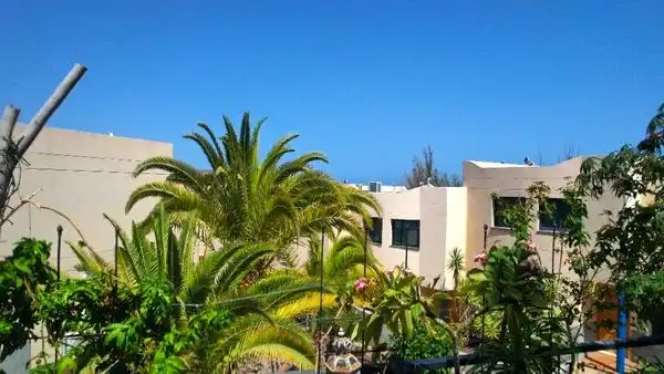 Vista exterior de Casa o xalet en venda en Pájara amb Aire condicionat, Jardí privat i Terrassa