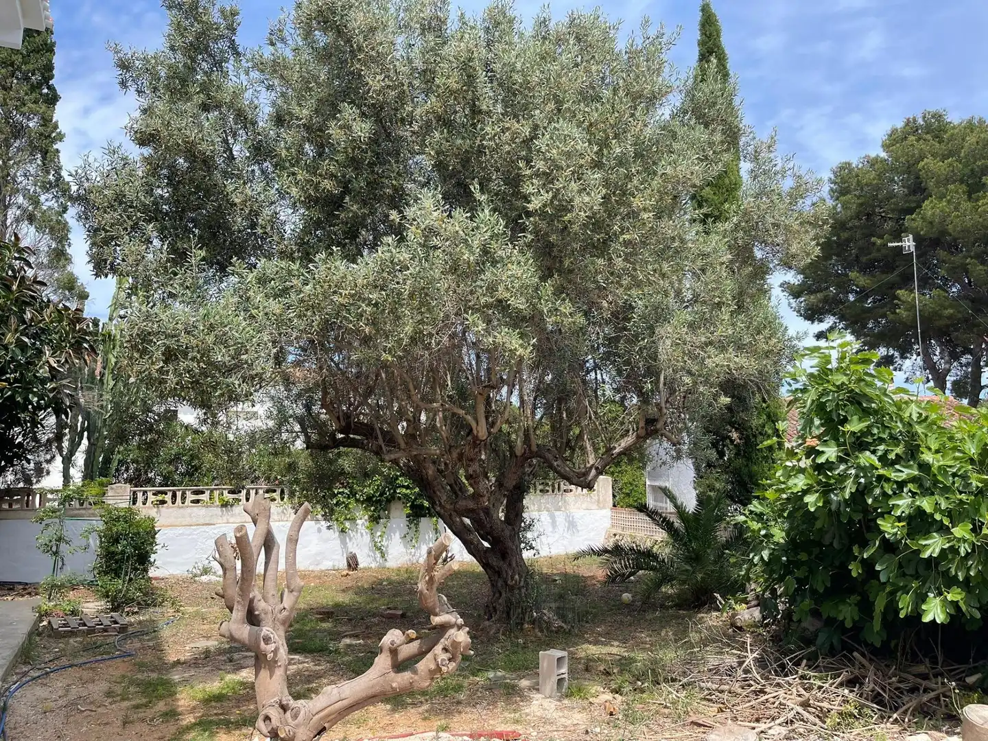 Garden of Houses for sale in Dénia  with Air Conditioner, Heating and Private garden