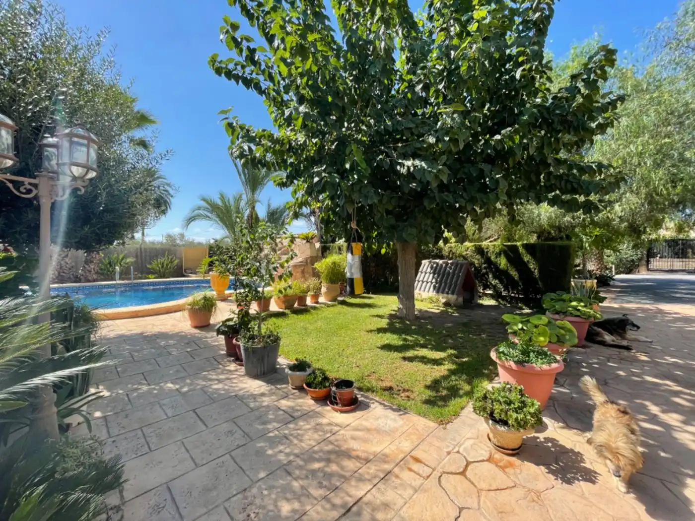 Villa avec piscine à vendre à Alzabares, imagen 64