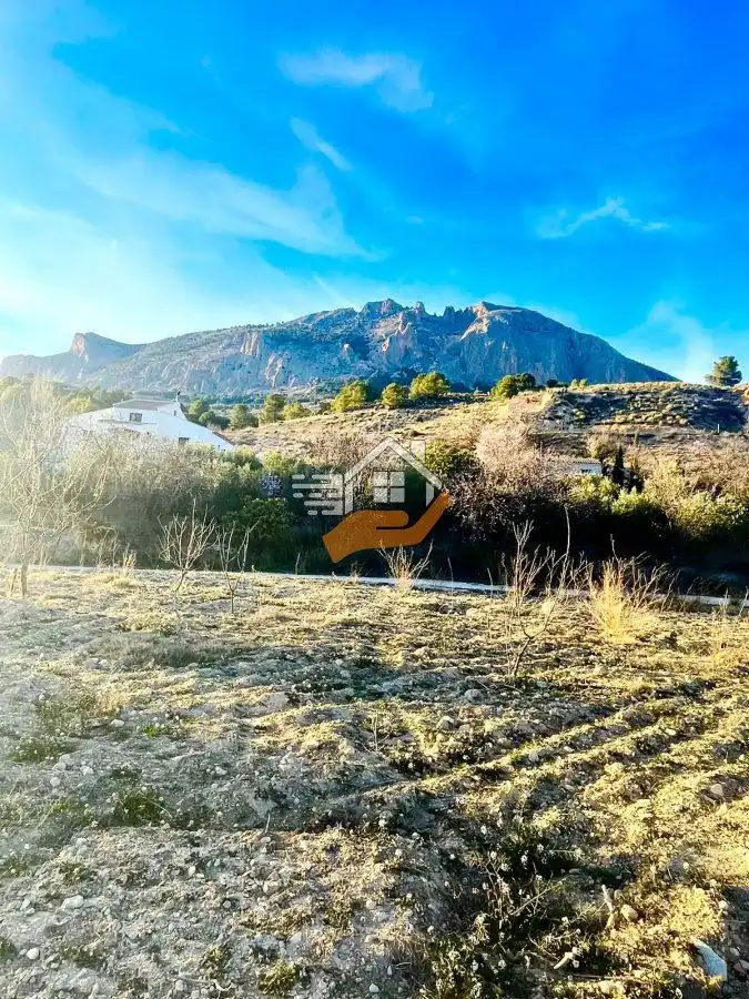 Residential land for sale in Vélez-Rubio, imagen 7