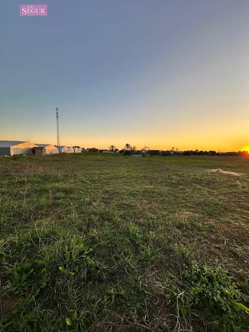 Rural land for sale in Conil, imagen 11