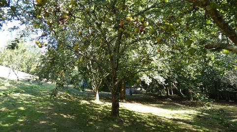 Photo 2 of House or chalet for sale in Navia, Asturias