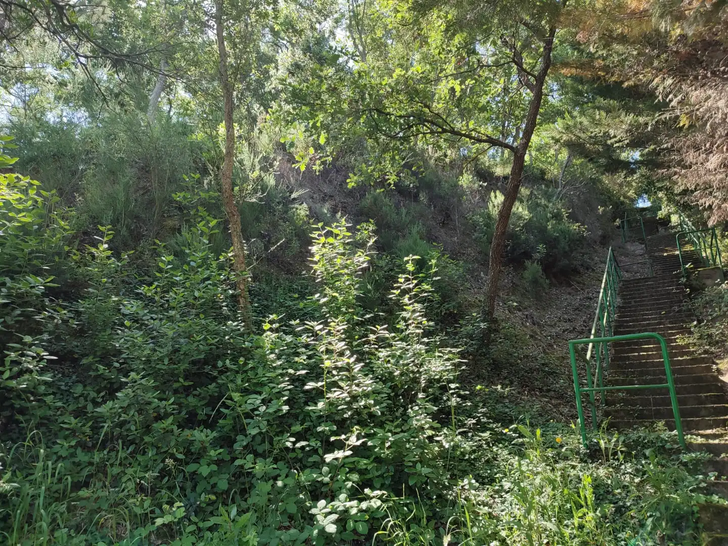 Wohnbaugrundstück zum Verkauf in Ronda del Paradís, imagen 4
