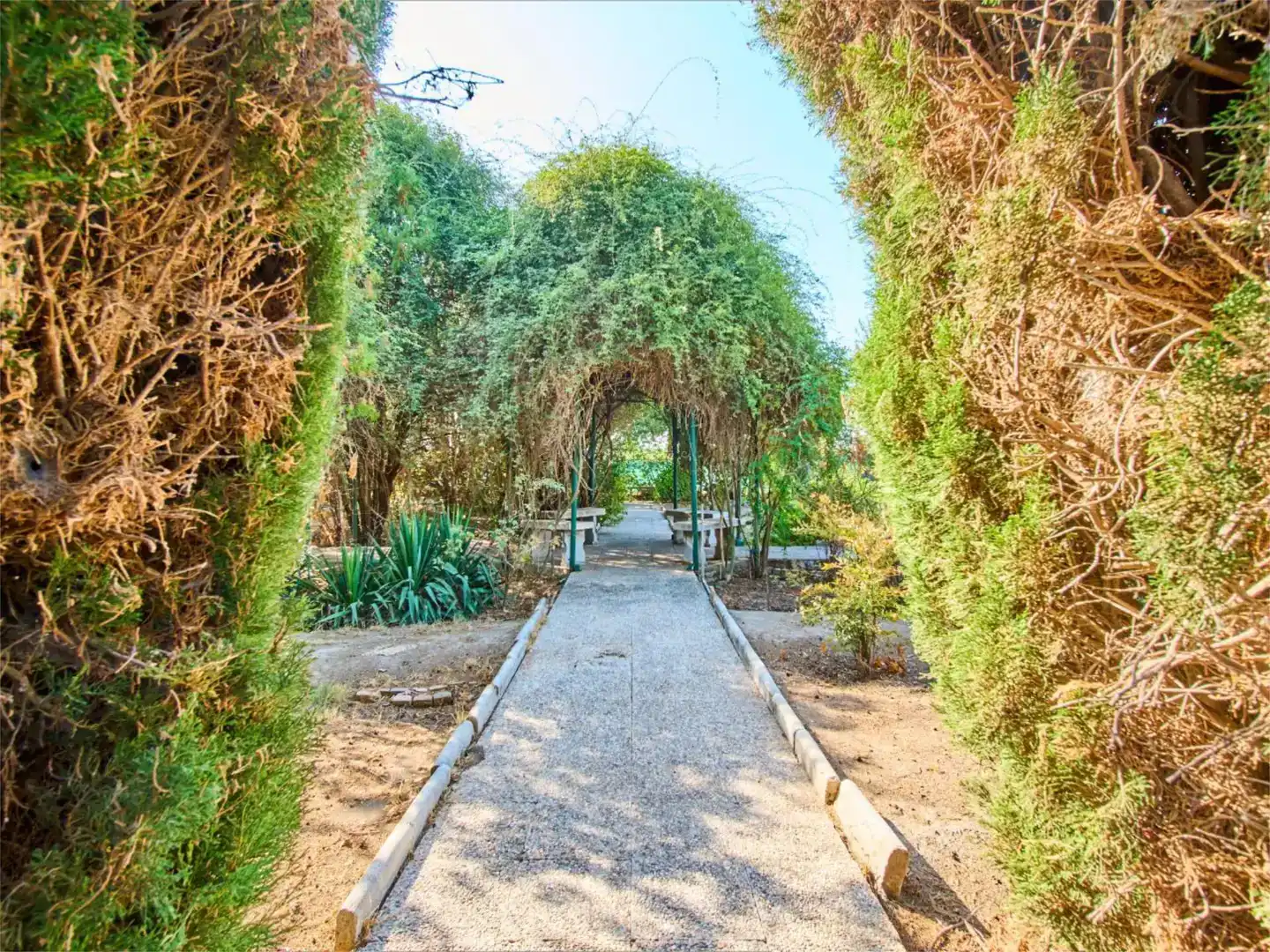 Jardí de Casa o xalet en venda en Chauchina amb Aire condicionat i Piscina