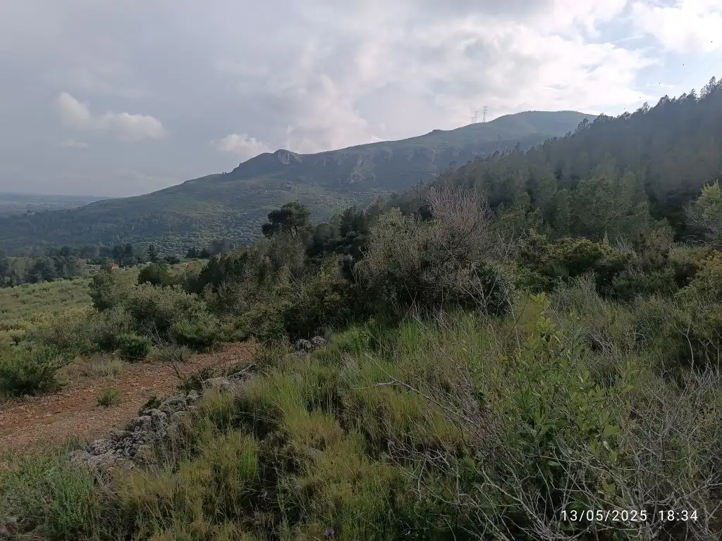 Terreno rustico in vendita a Carrer Major 1, imagen 6