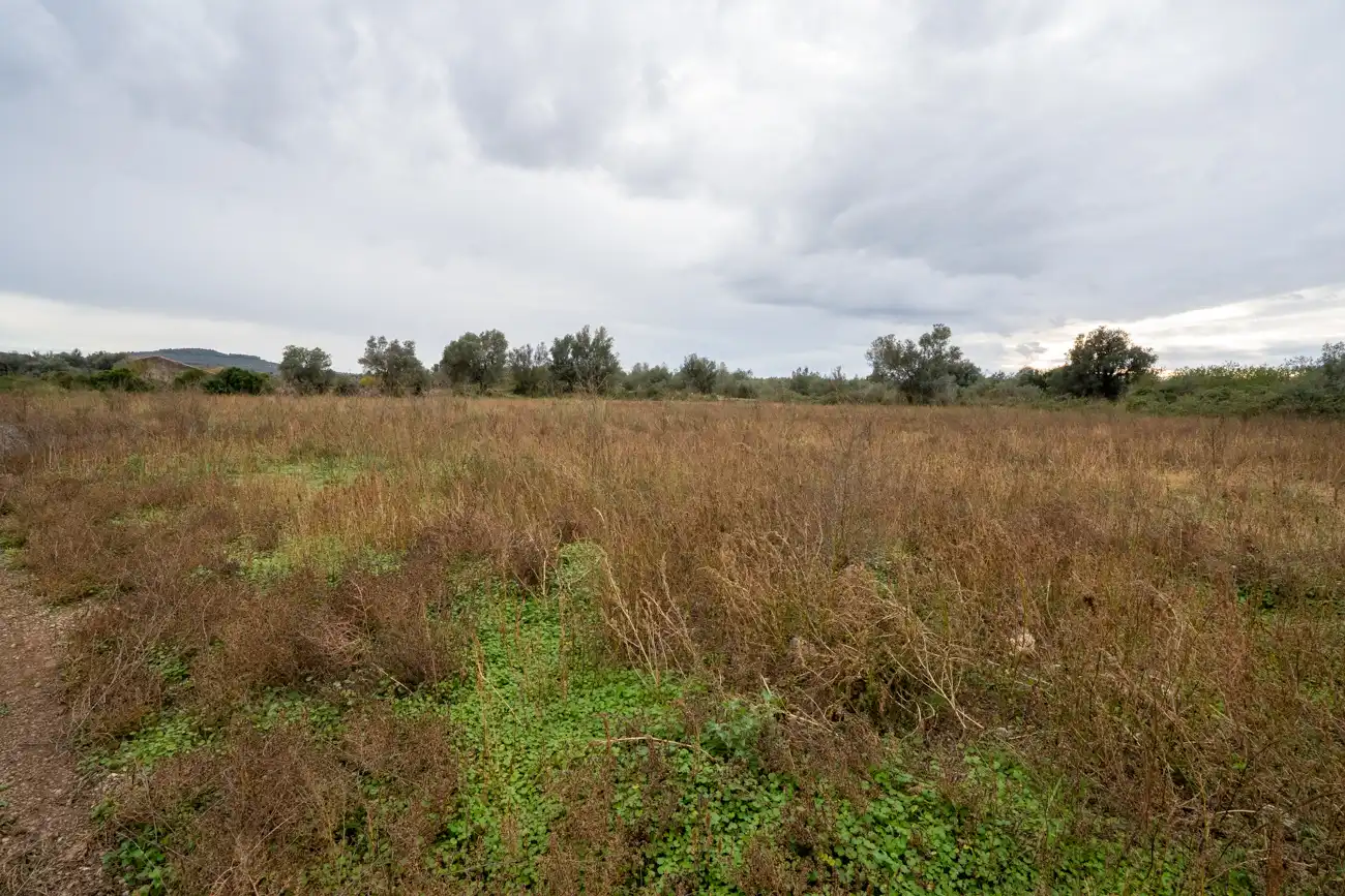 Rural land for sale in Ulldecona, imagen 23