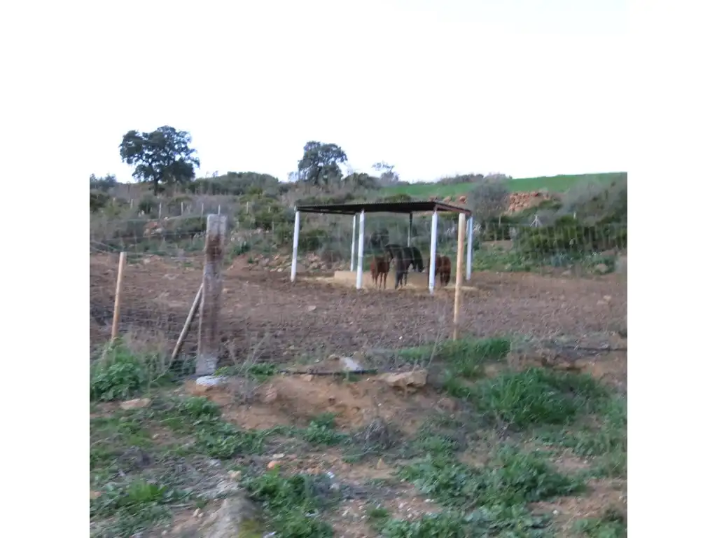 Casa rústica en venda a Almogía, imagen 33