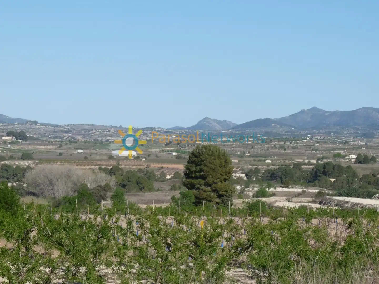 Terreny rústic en venda a Bélgida, imagen 11