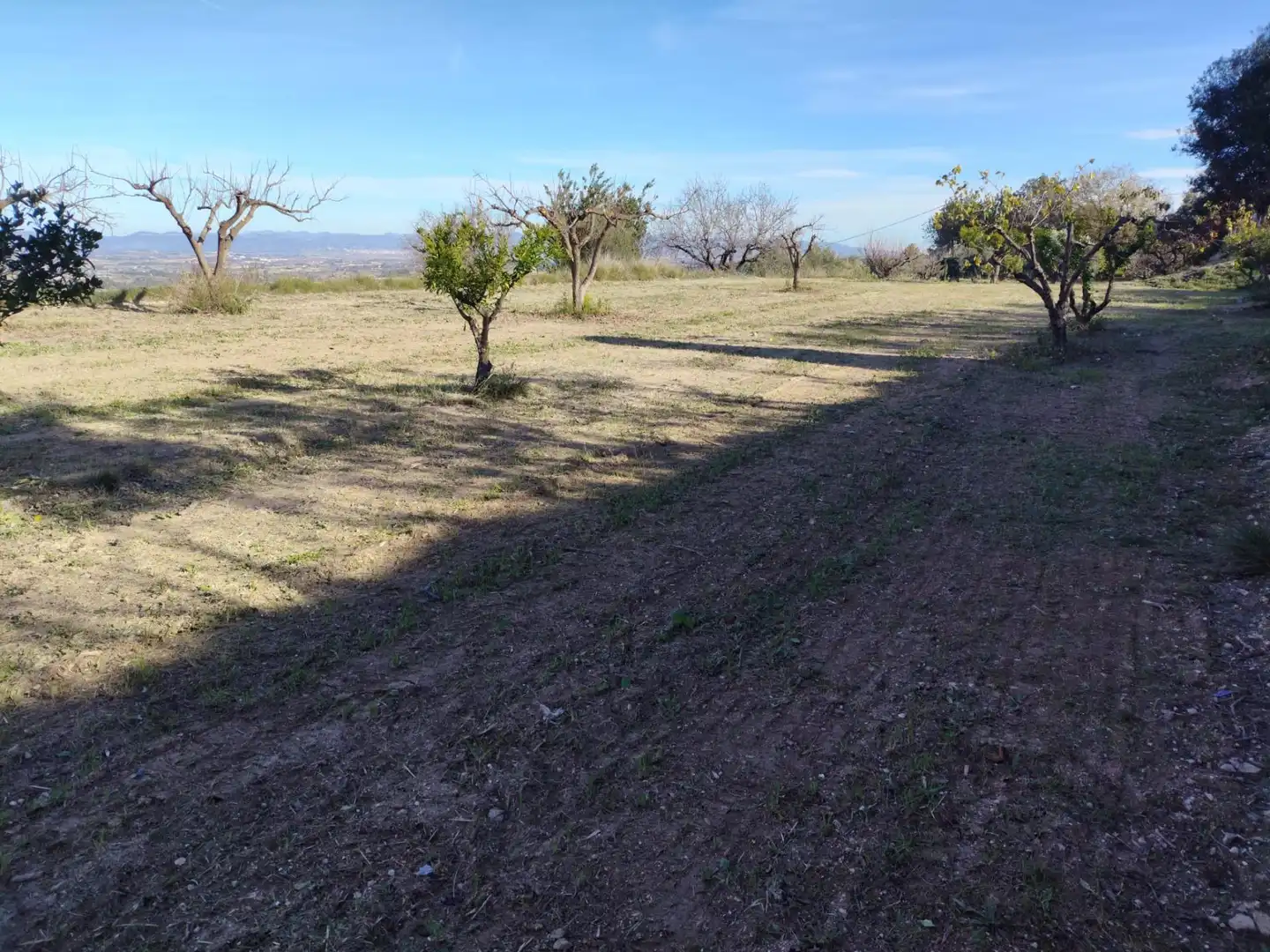 Terreno residenziale in vendita a Agullent, imagen 20
