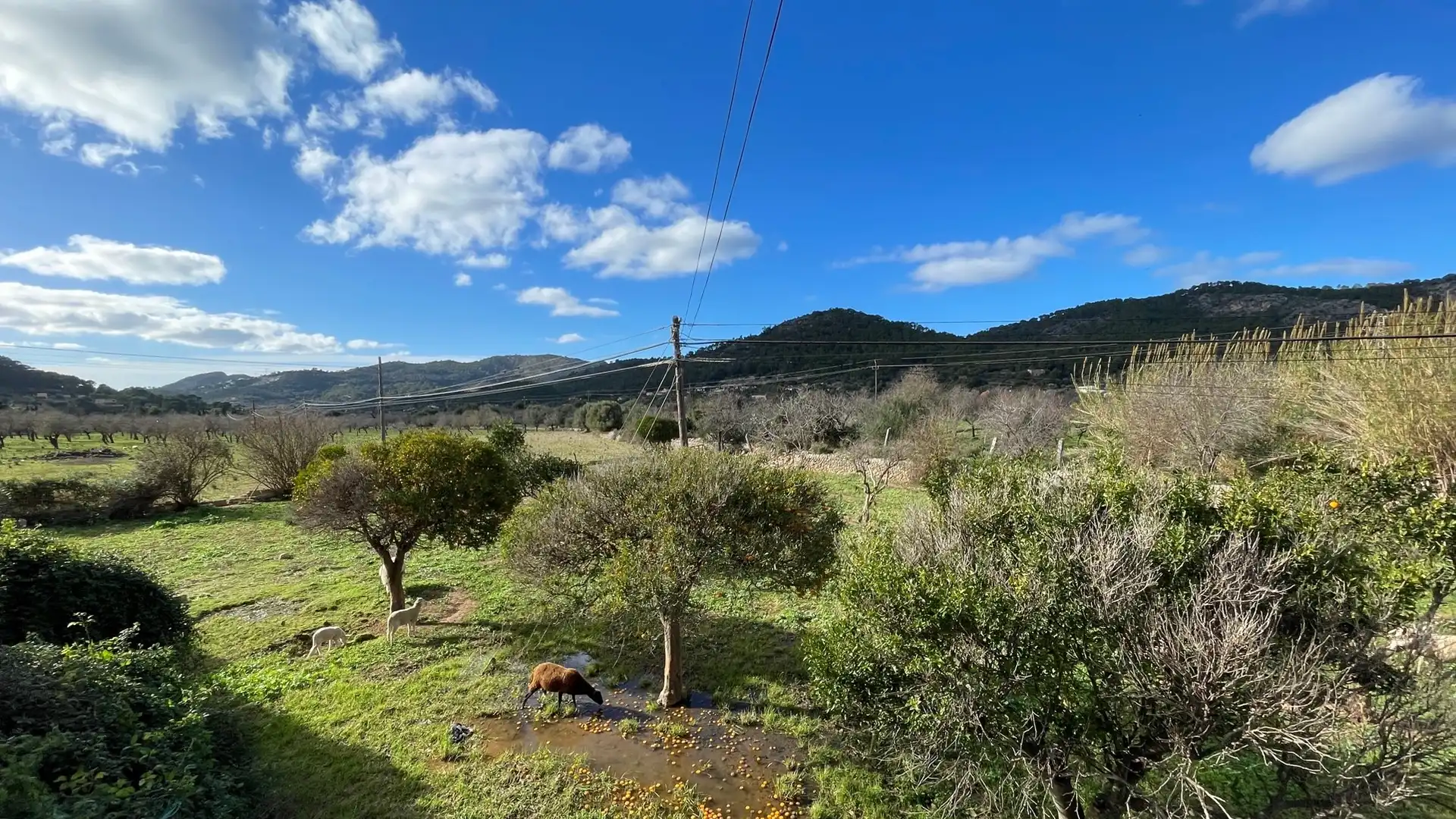 Country homes for sale in Andratx pueblo