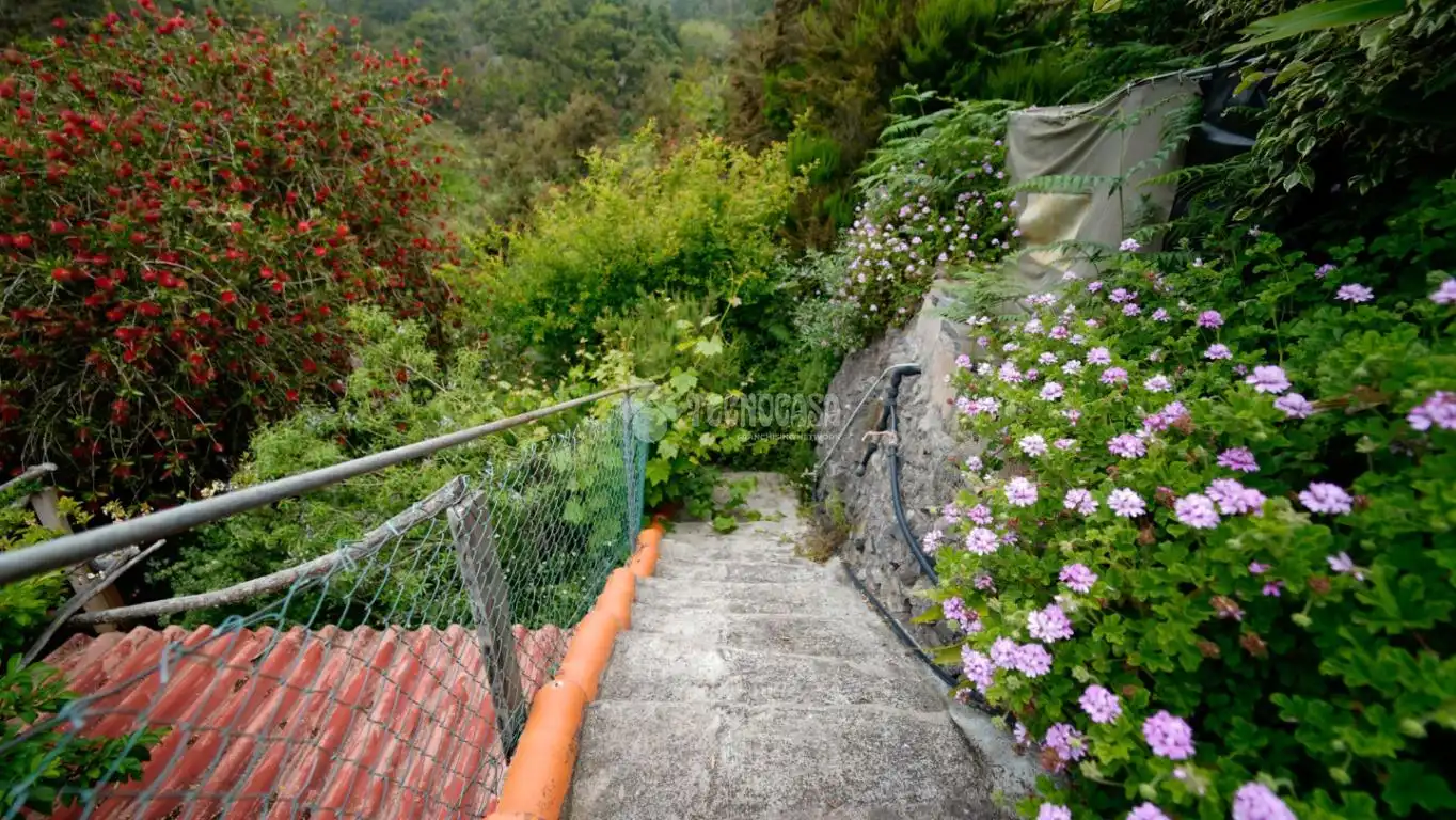 Jardín de Finca rústica en venta en Agulo