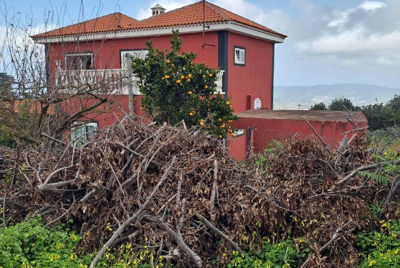 Foto 1 de Casa o xalet en venda a La Esperanza - Llano del Moro, Santa Cruz de Tenerife