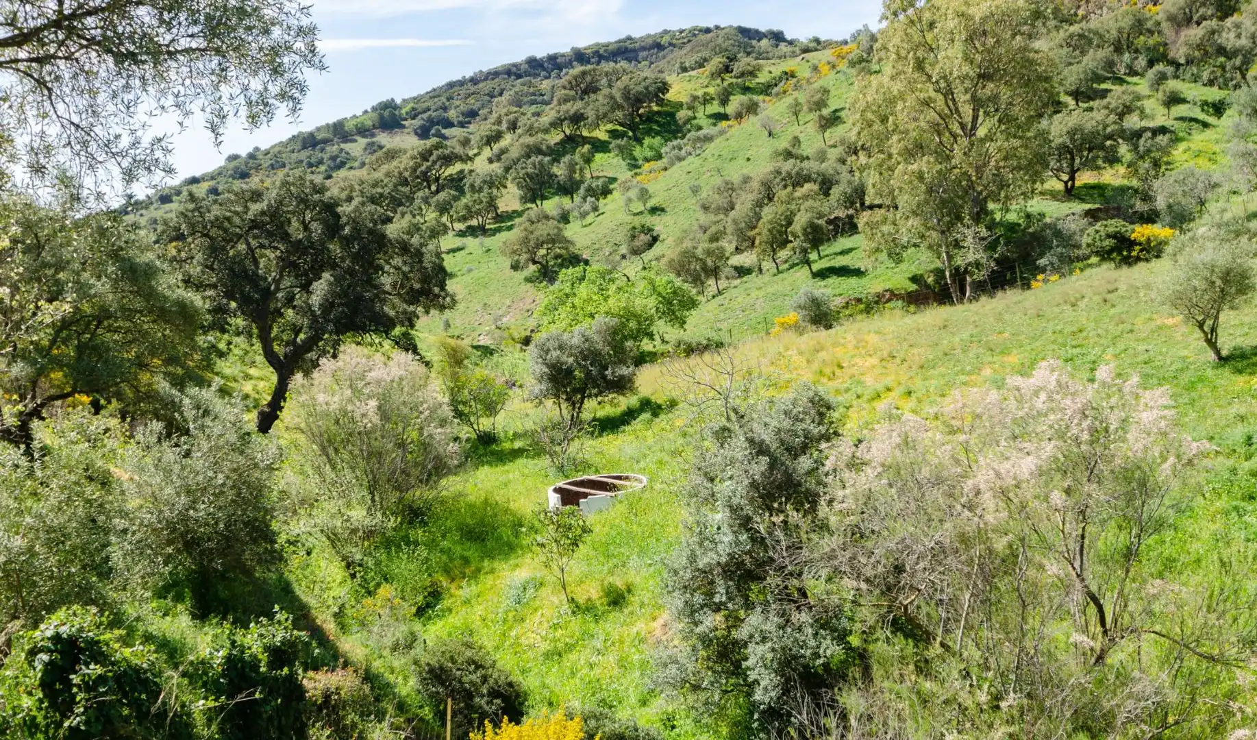 Finca rústica en venda en Casares amb Calefacció, Jardí privat i Terrassa