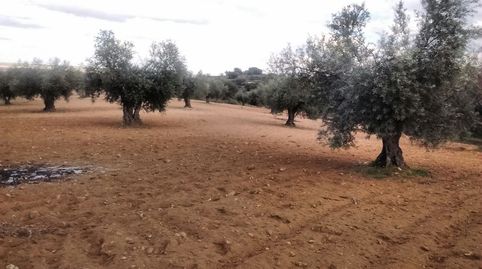 Foto 3 de Terreno en venta en Mora, Toledo