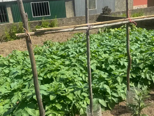 Casa a schiera con giardino in vendita a Glorieta Ferreira, imagen 65