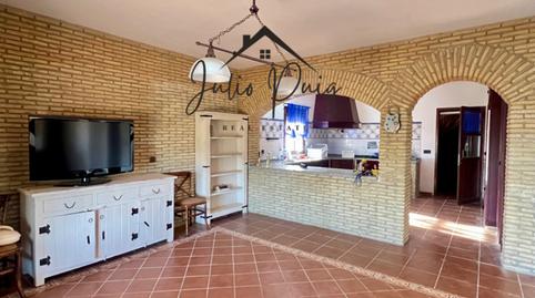 Photo 5 of Land for sale in Almensilla, Sevilla