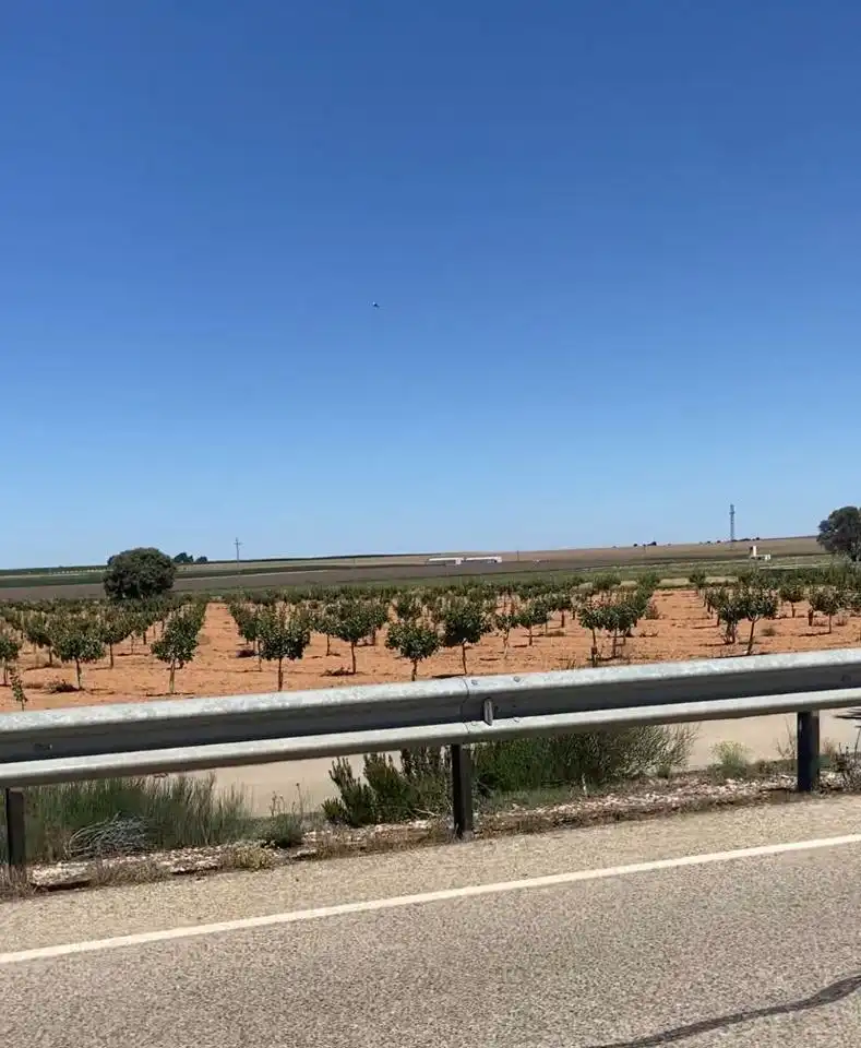 Terreno rustico in vendita a Paraje los Pleitos, imagen 2
