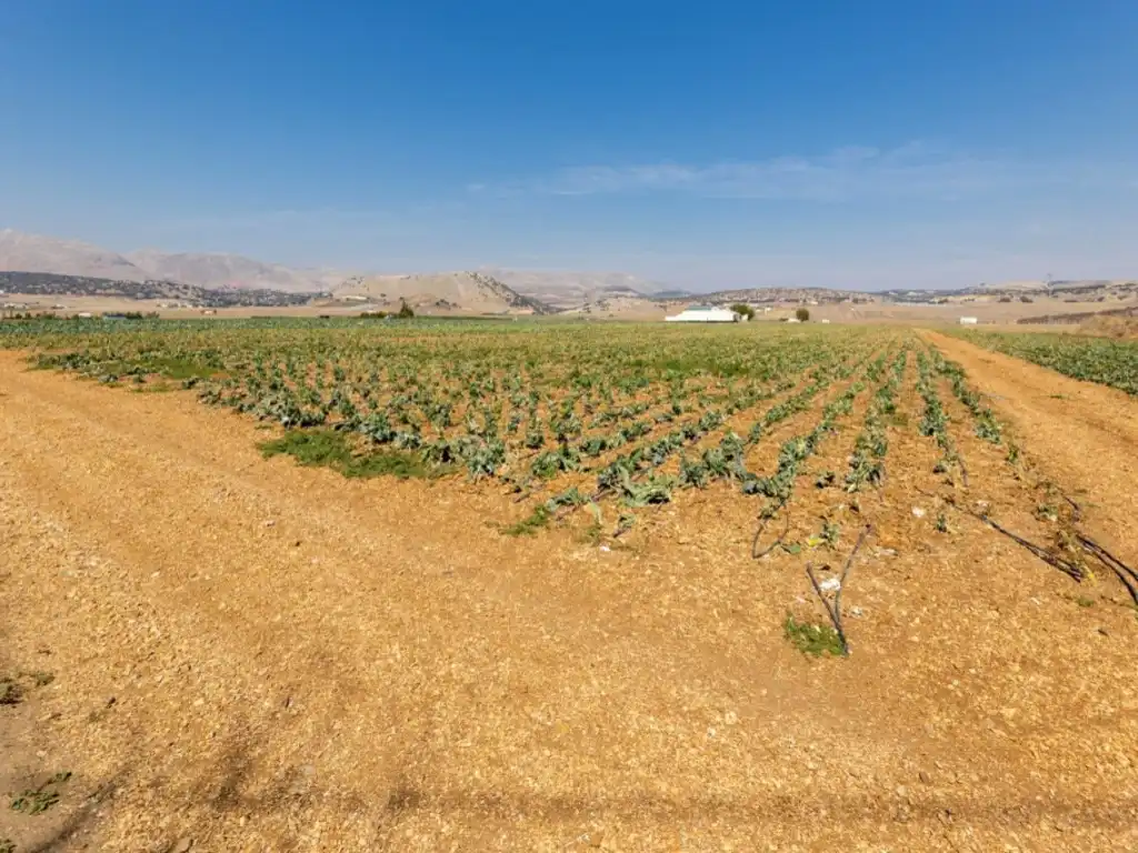 Maison à vendre à Alhama de Granada, imagen 30