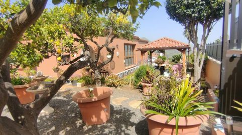 Foto 2 de Casa o chalet de alquiler en El Pedregal, Valsequillo de Gran Canaria, Las Palmas