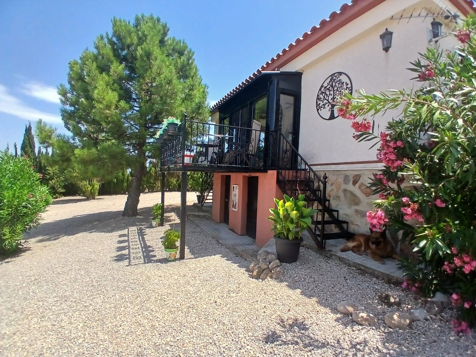 Vista exterior de Local en venta en Zarra con Terraza