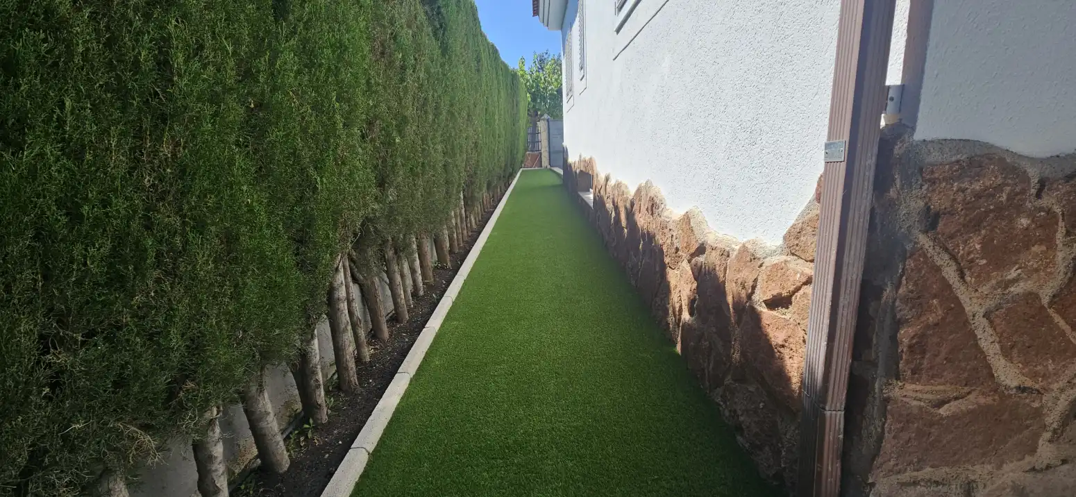 Vista exterior de Casa o chalet en venta en Molina de Segura con Trastero