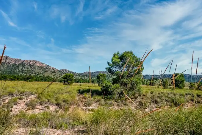 Rustikales Grundstück zum Verkauf in Paraje Fuente del Peral y Rincón del Majariego, Plg 6-7, imagen 10