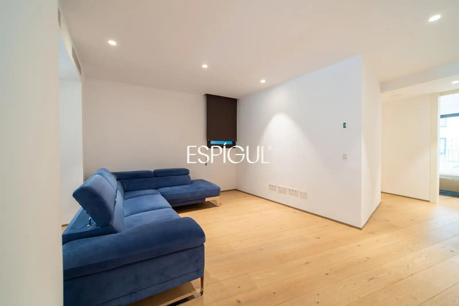Sala d'estar de Pis en venda en Girona amb Aire condicionat, Calefacció i Parquet