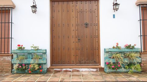 BELLISIMA FINCA CON CORTIJO. ALORA. MALAGA, immagine 5