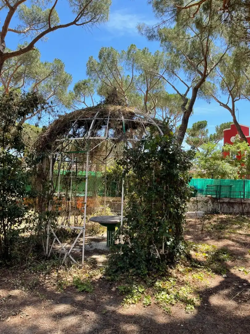 Jardí de Casa o xalet en venda en Valladolid