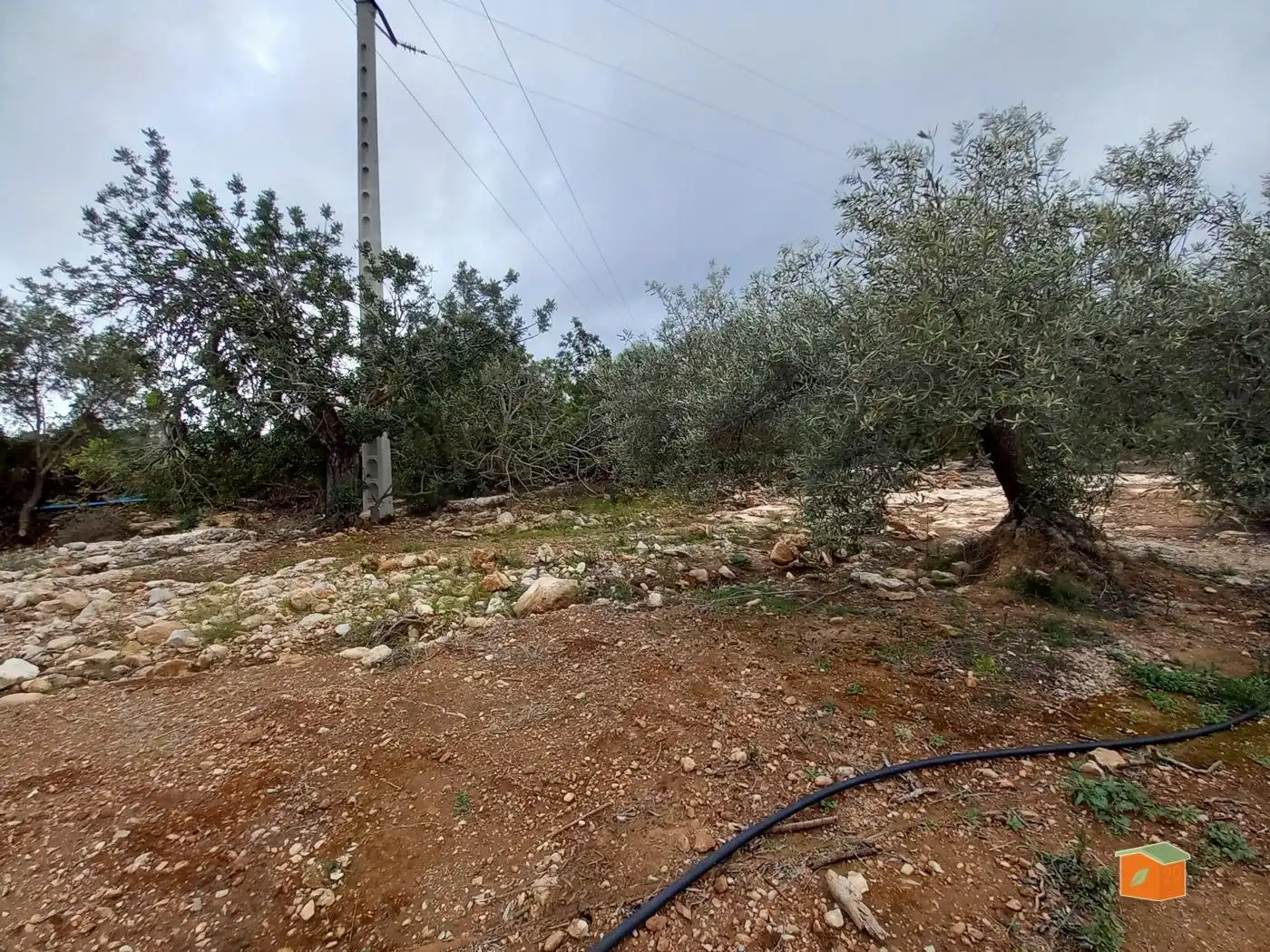 Terreno rustico in vendita a Alcanar, imagen 16