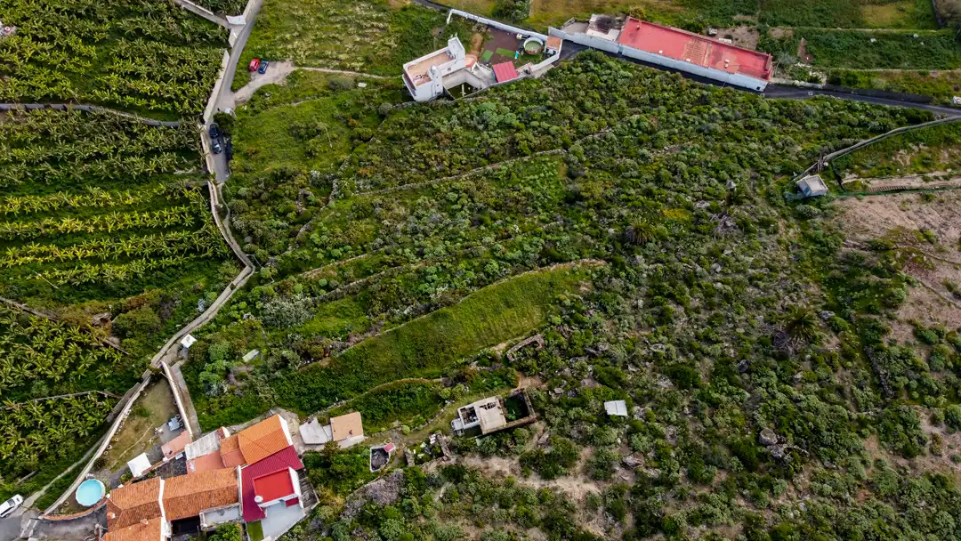Finca rústica en venta en Moya (Las Palmas)