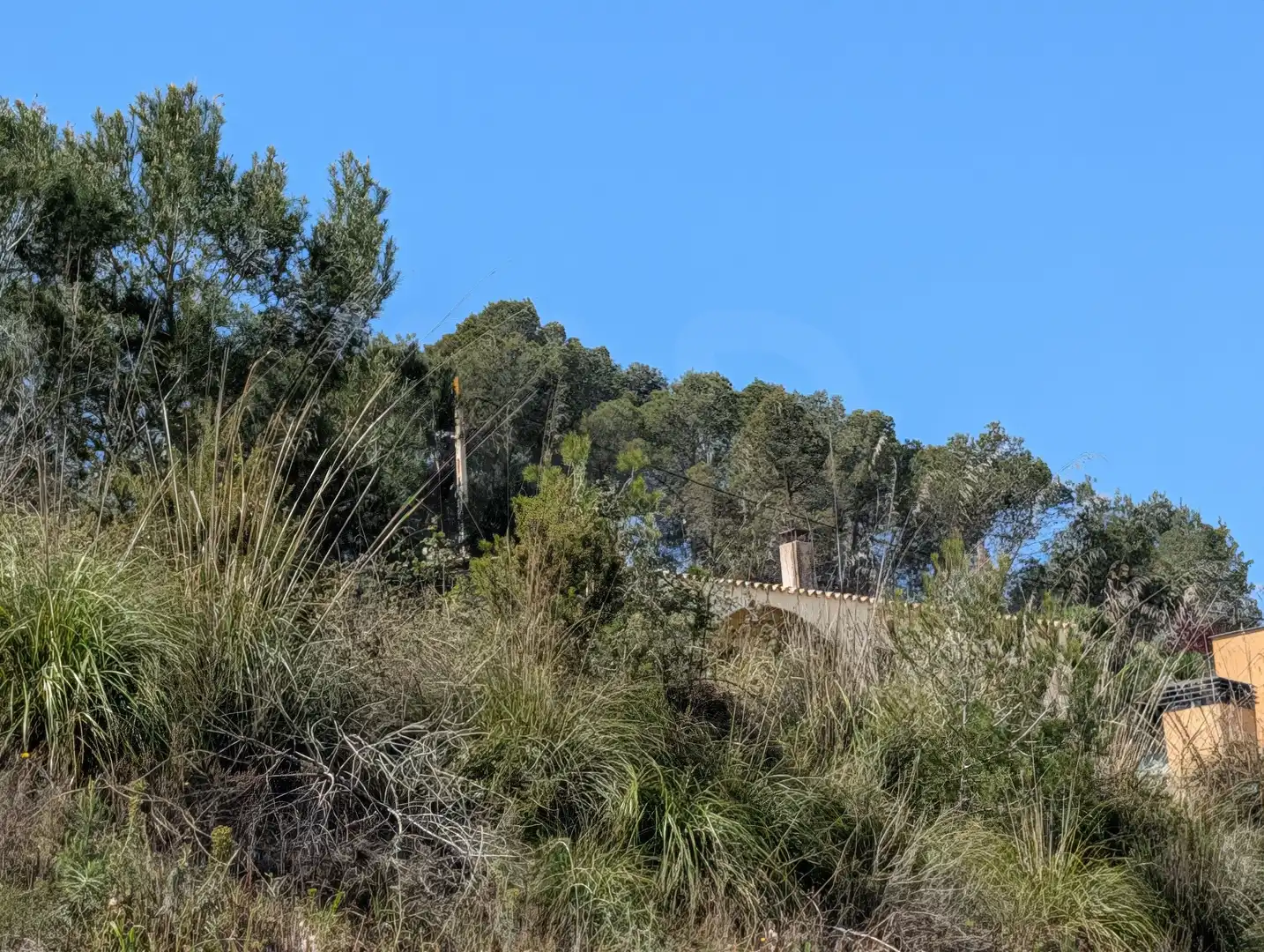 Terreny residencial en venda a Carrer del Senglar, imagen 22