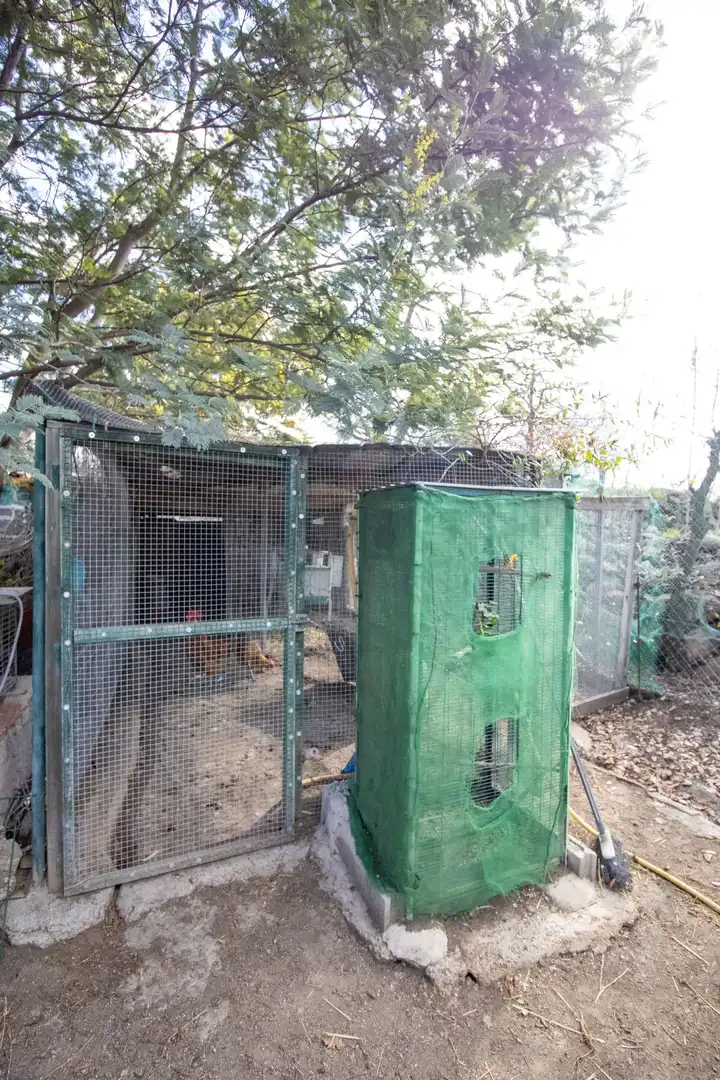 Vista exterior de Terreno en venta en Sant Climent Sescebes