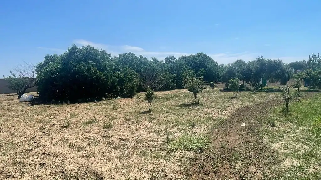 Rustikales Grundstück zum Verkauf in Las Lagunas - Campano, imagen 7