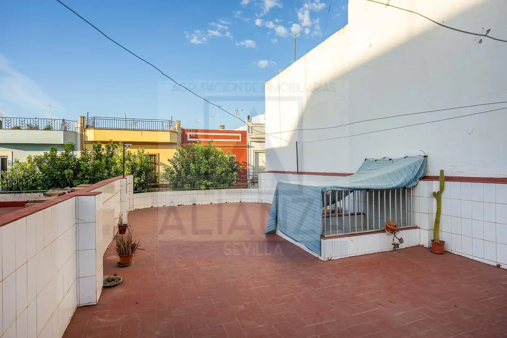 Terraza de Casa o chalet en venta en Centro - Barriada Mallorca