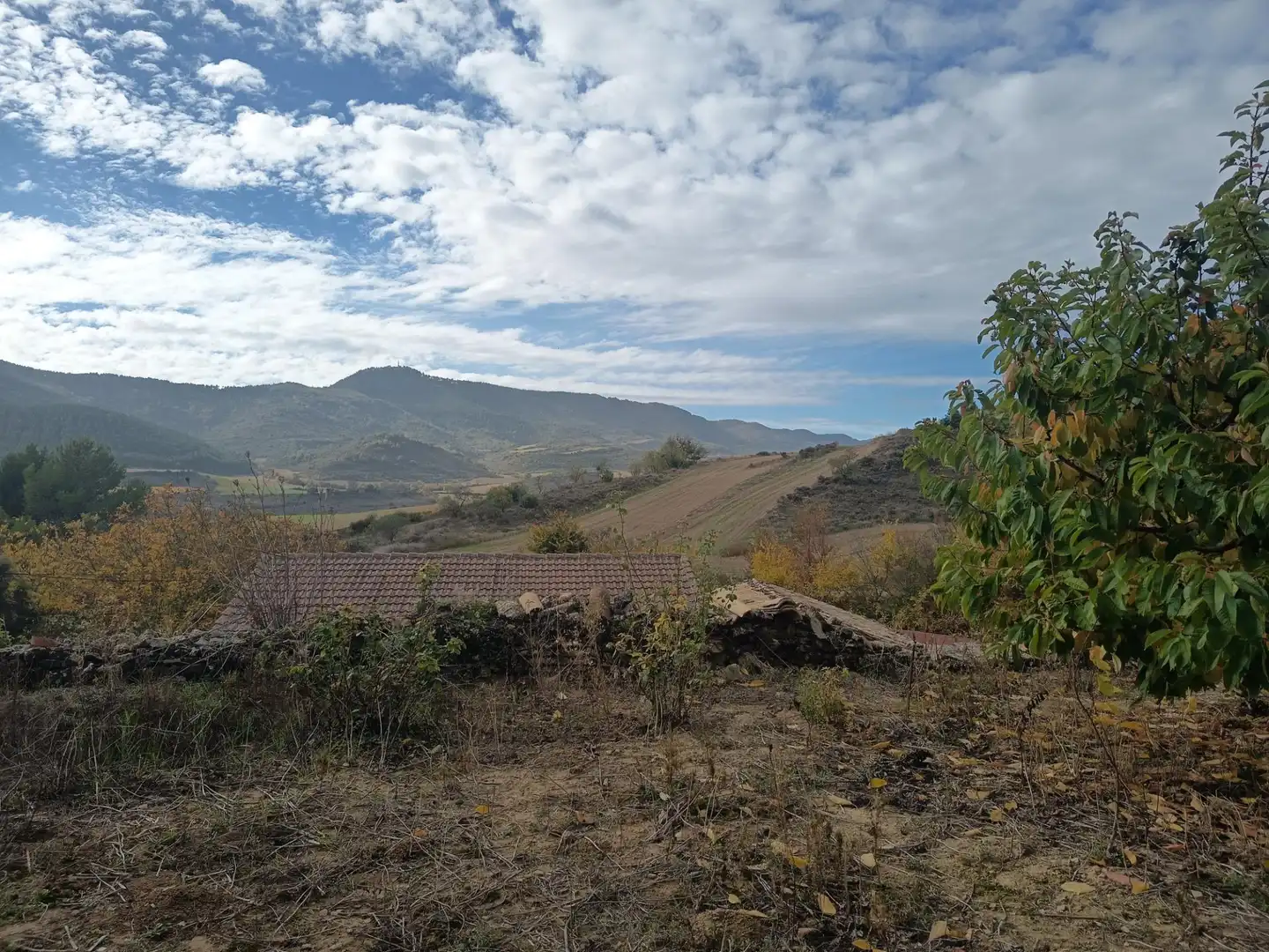 Casa o chalet en venta en Sada (Navarra)