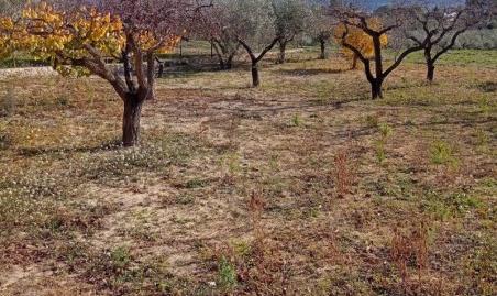 Foto 5 de Casa o xalet en venda a Plaça Numero 6, 1174, Santa Ana, Ontinyent