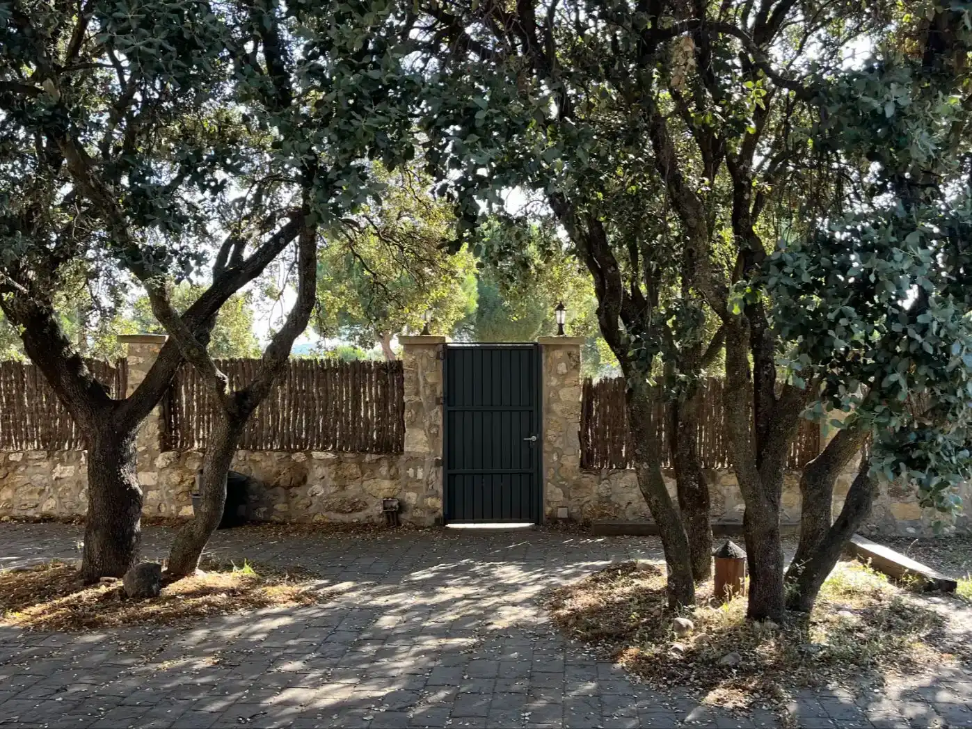 Vista exterior de Casa o xalet en venda en Galapagar amb Aire condicionat, Jardí privat i Traster