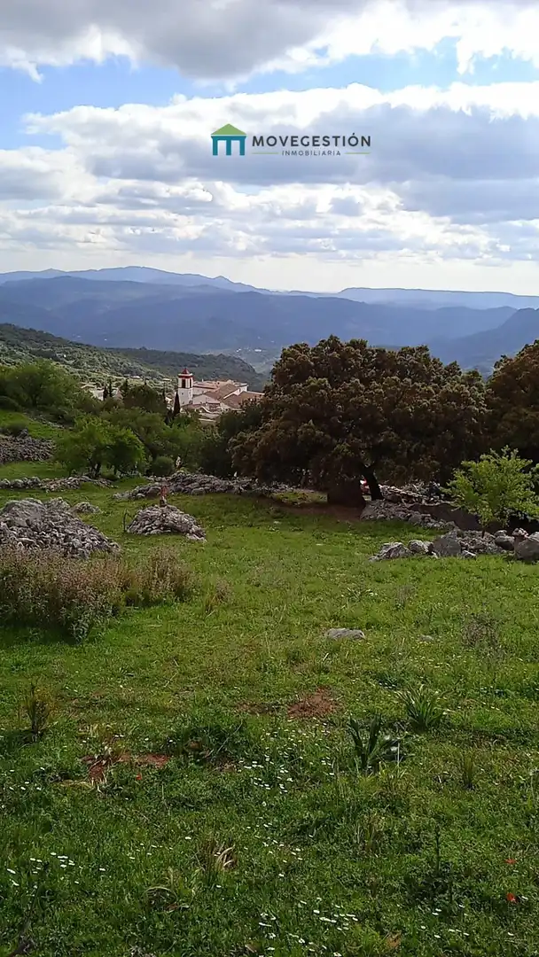 Terrain rustique à vendre à Benaocaz, imagen 6