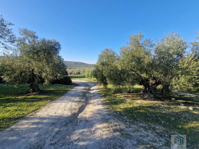 Finca rústica en Venta en Montilla