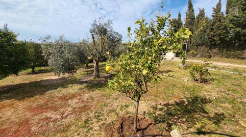 Photo 5 of Single-family semi-detached for sale in Medina Sidonia, Cádiz