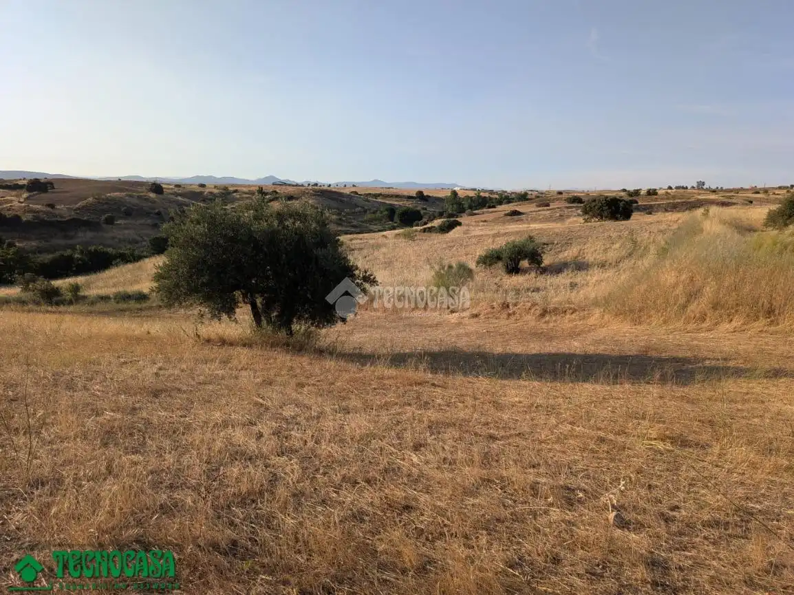 Terreni e lotti in vendita a Méntrida