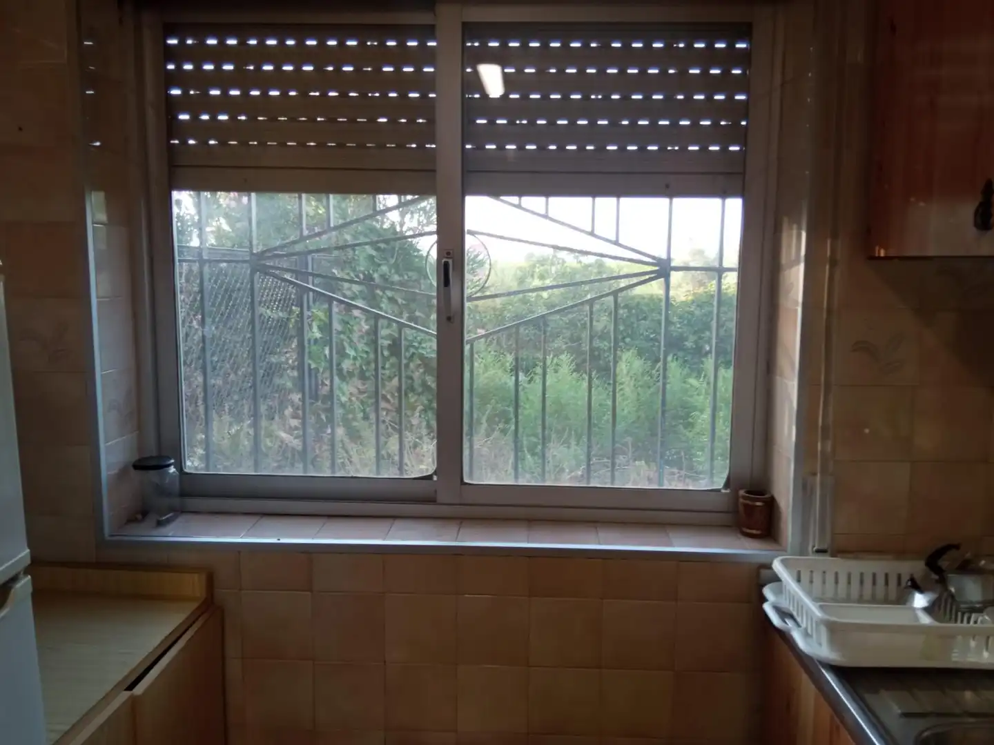 Country homes for sale in Los Ramos