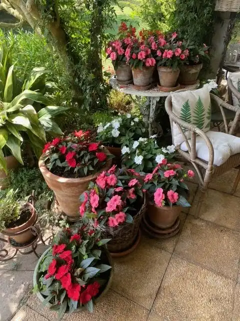 Jardín de Casa o chalet en venta en Piloña con Jardín privado, Amueblado y Alarma