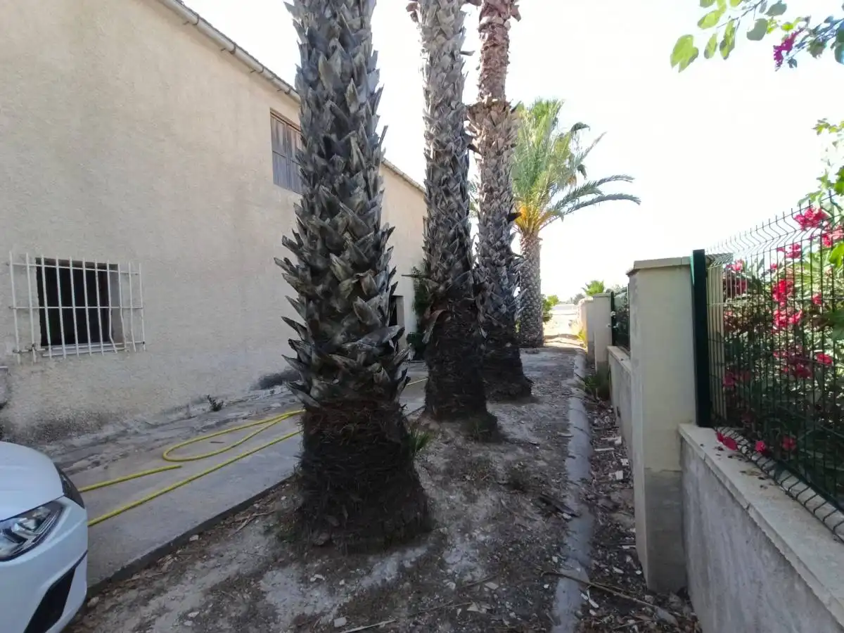 Xalet en venda a Cam. Arroba de Madriguera, imagen 4