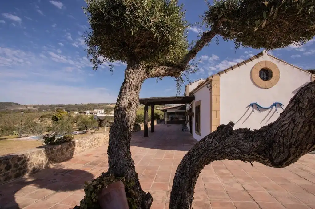 Terrassa de Finca rústica en venda en Arcos de la Frontera amb Calefacció, Terrassa i Traster