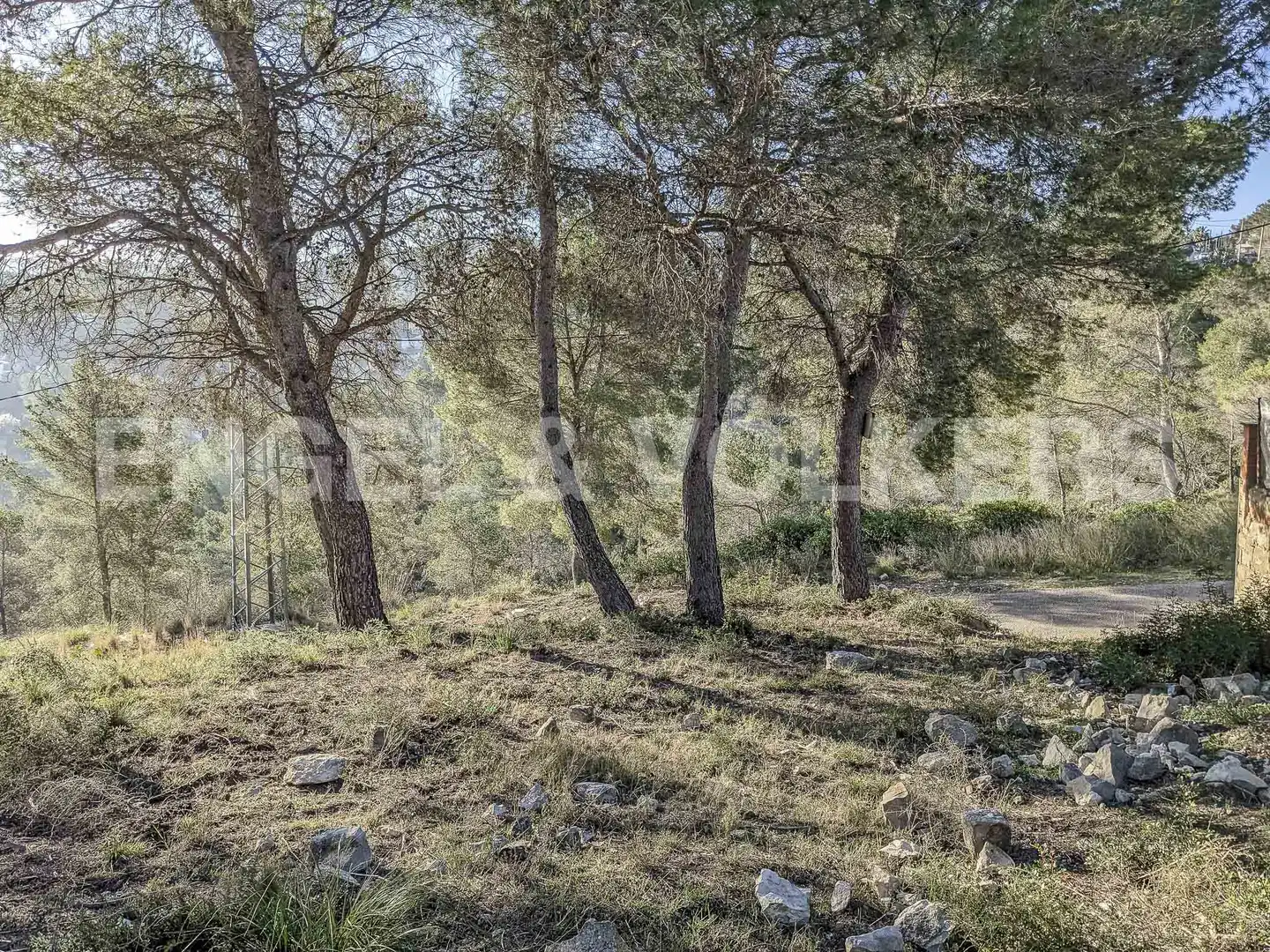 Terreno residencial en venta en Canyelles, imagen 5