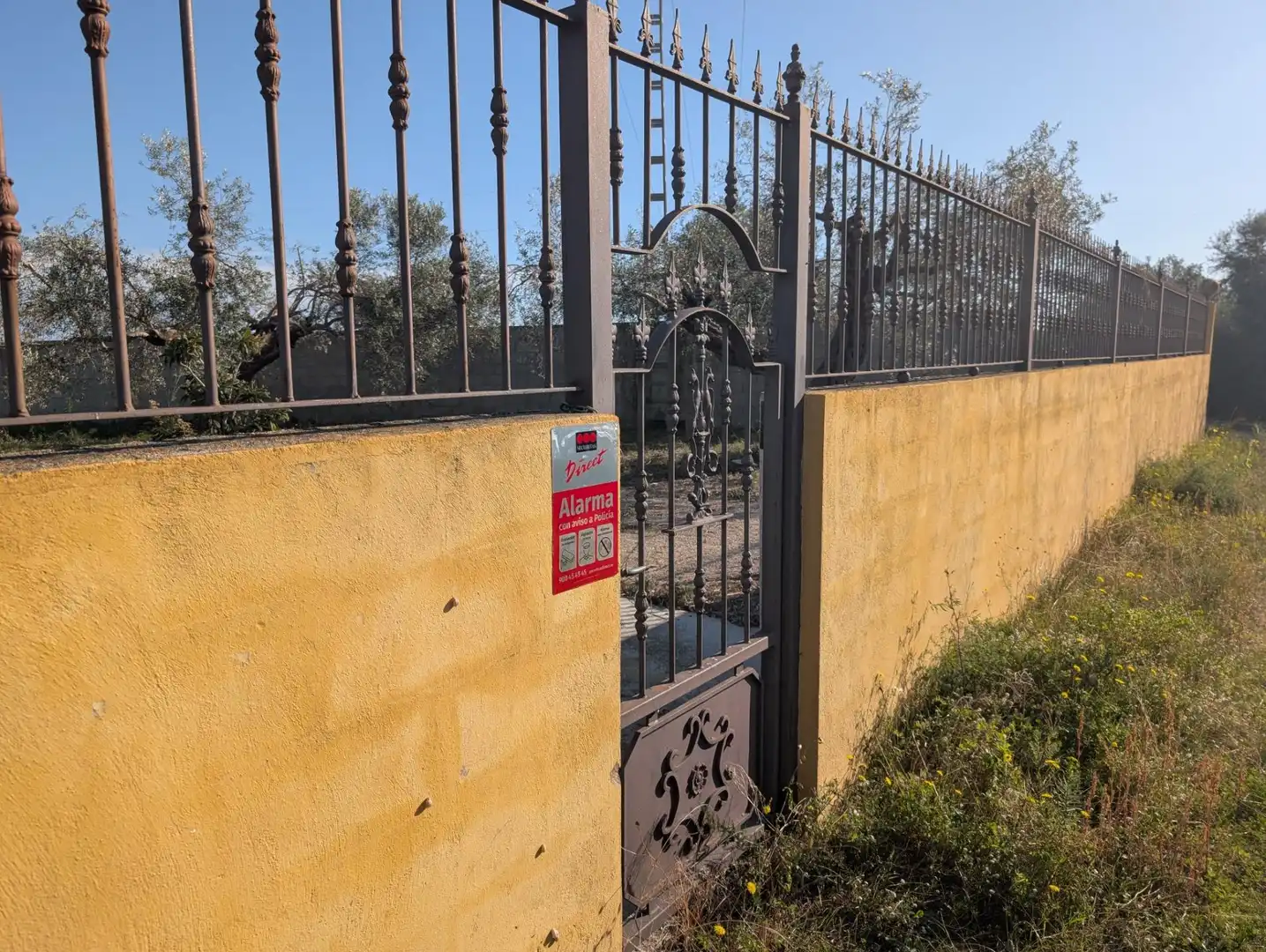 Terreno rustico in vendita a Partidas de interior - Zona Rústica, imagen 11