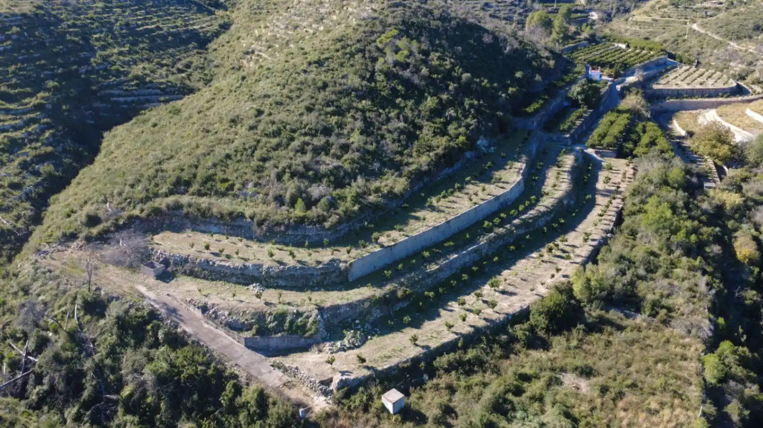 Terrenys i solars en venda a L'Atzúbia, imagen 6