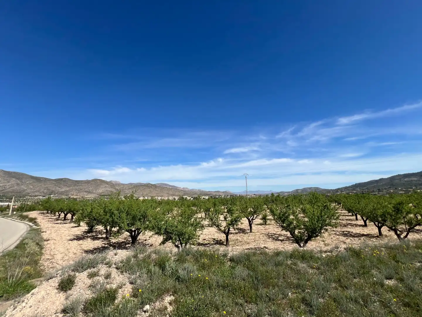 Residential land for sale in Hondón de los Frailes, imagen 5